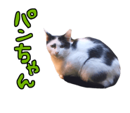 761321027