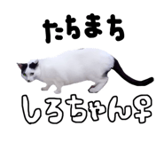 761321029