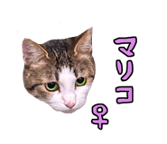 761321036