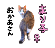 761321037