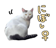 761321040