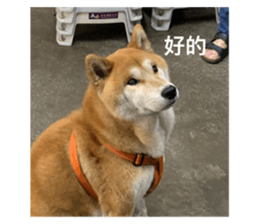 761330111