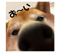 761335731