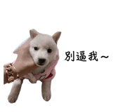 761336078