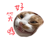 761336226