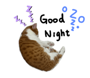 761336232