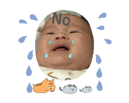 761336492