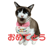 761336996