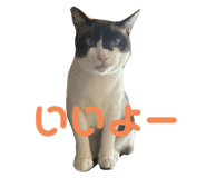 761336999