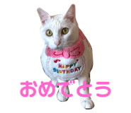 761337000