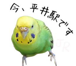 761346307