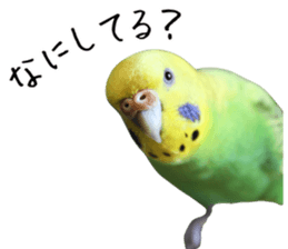 761346316
