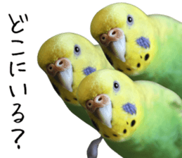 761346335