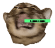 761354209