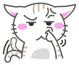 7613549