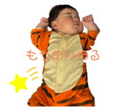 761355282