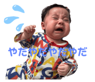 761355288