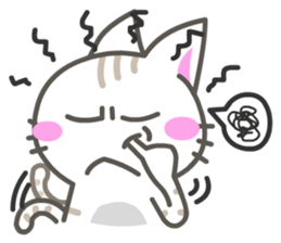 7613556