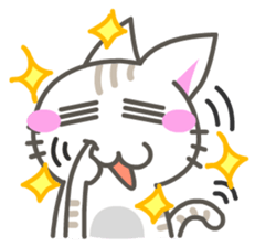 7613560