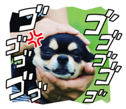 761356595