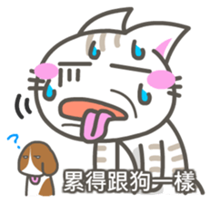 7613569