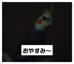 761357194