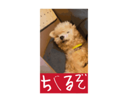761364086