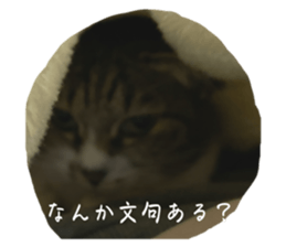 761366608