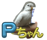 761369576