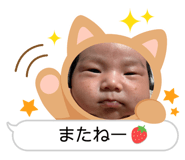 761384046