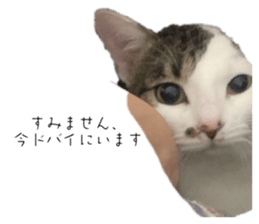 761391251