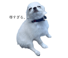 761391812