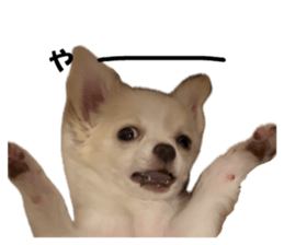 761391815
