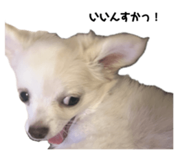 761391816