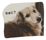 761395572