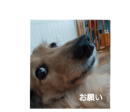 761395576