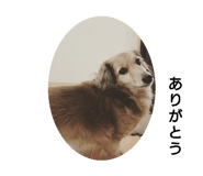 761395577