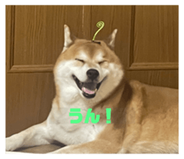 761395585