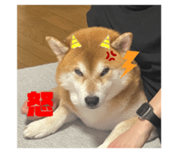 761395589
