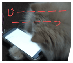 761396108