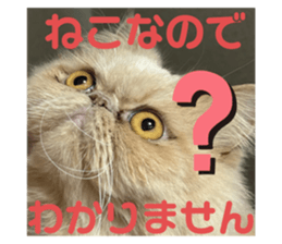 761396116
