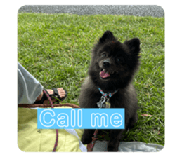761429221