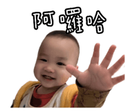 761449244