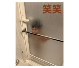 761452016