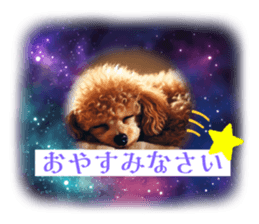 761453428