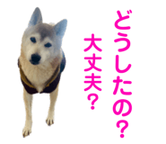 761453646