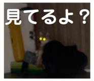 761453653