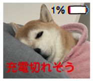 761453666