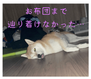 761453670