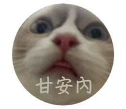 761487422